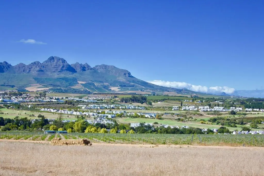 Stellenbosch mit Kindern – Familienfreundliche Aktivitäten in Südafrika