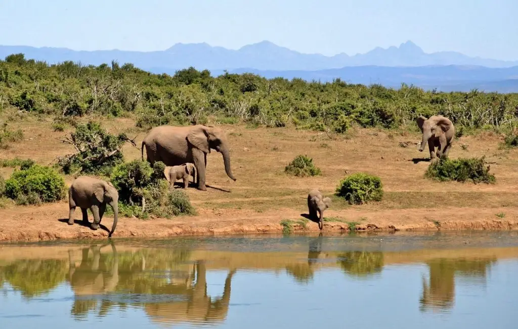 beste reisezeit für südafrika klima und jahreszeiten